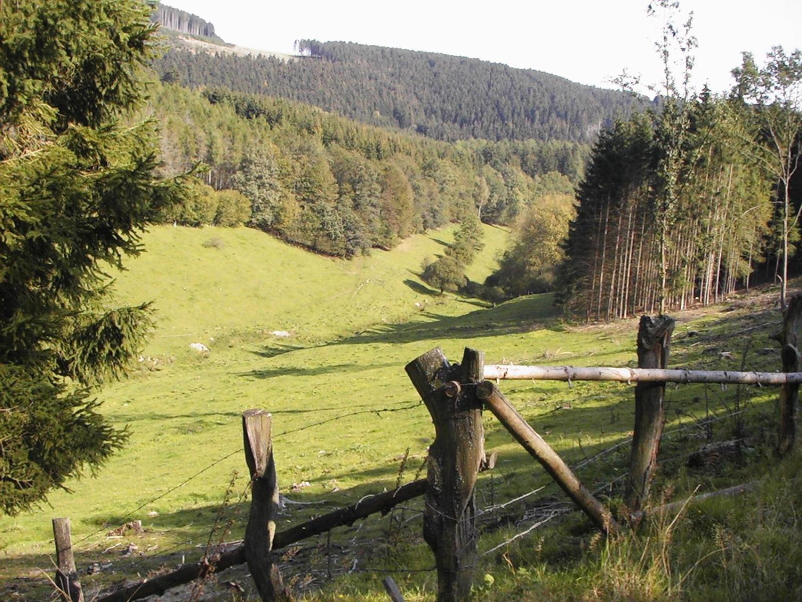 Hotel Sonneneck Winterberg Esterno foto